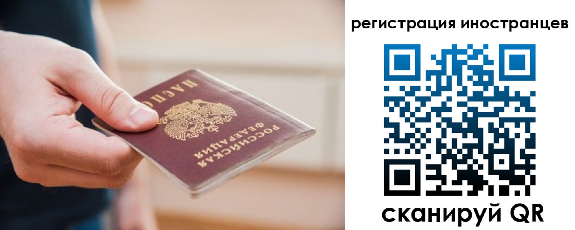 прописка гарантия в Кольчугино